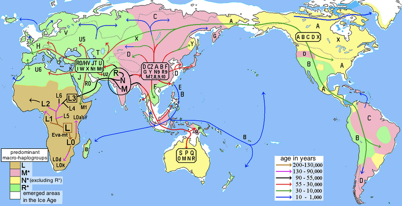 MTDNA World Map