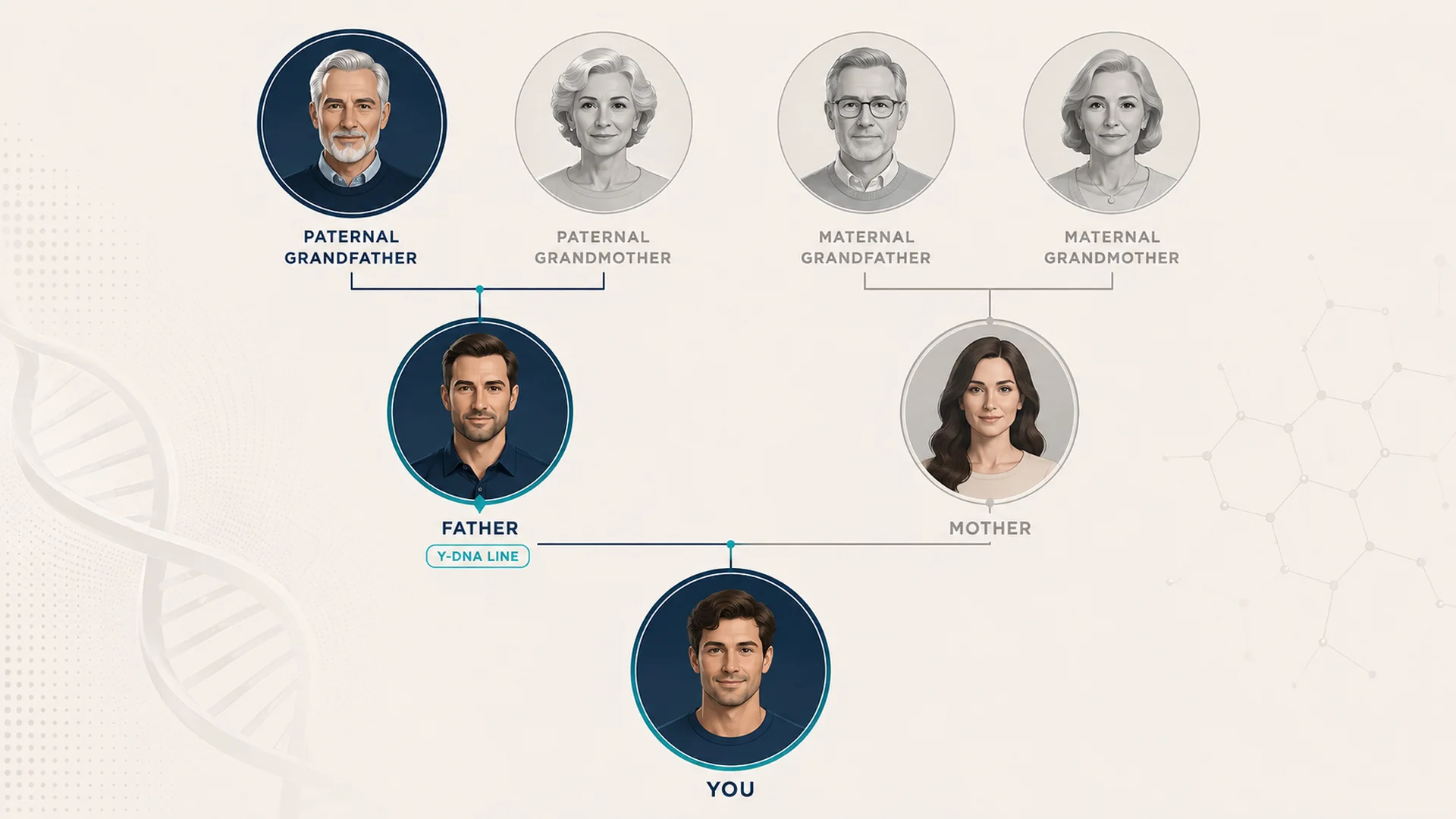 Paternal Examples Paternal Haplogroup Report - DNAGENICS